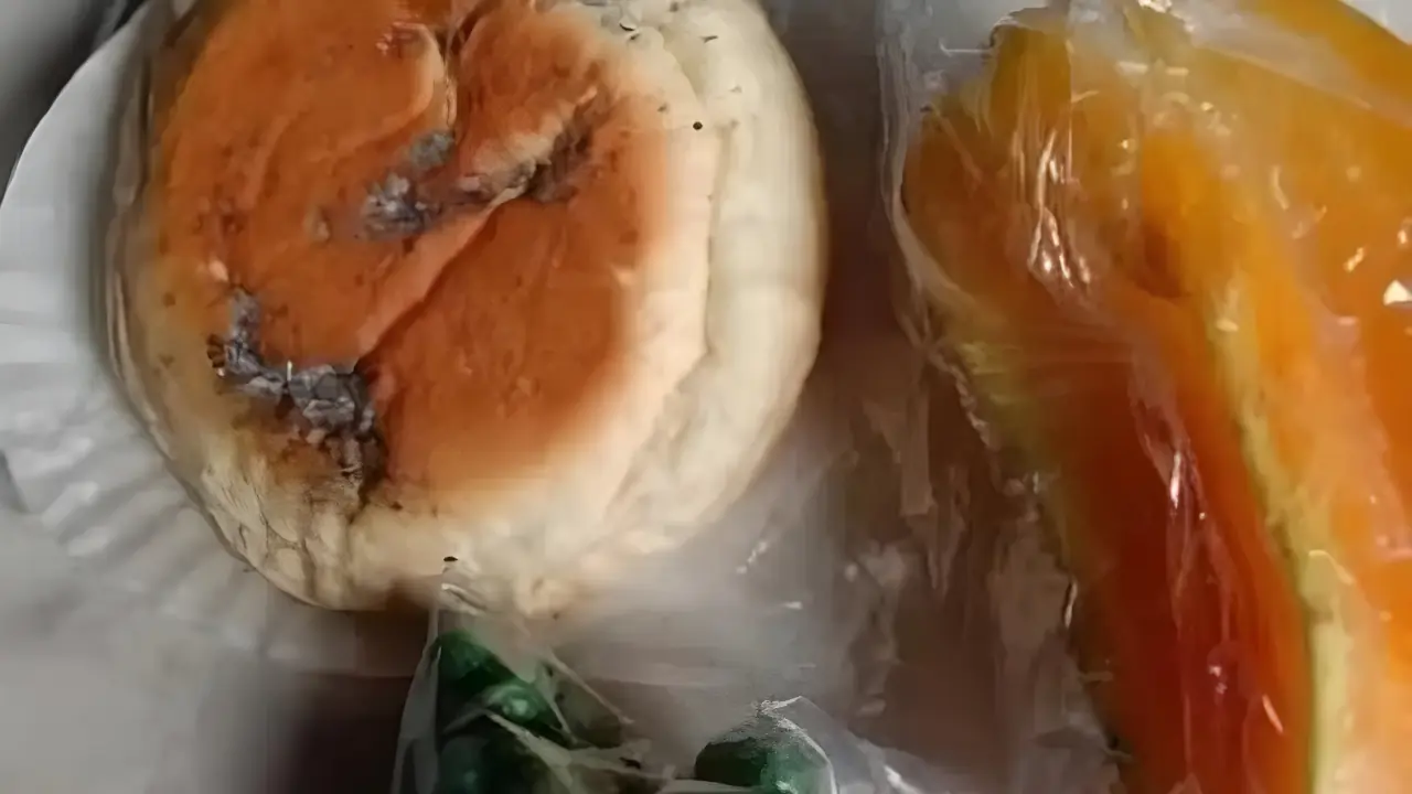 Roti Berjamur di Piring Siswa: BGN Segel 47 Dapur Makan Bergizi Gratis!